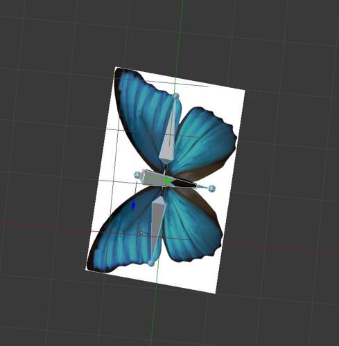 Butterfly preview image